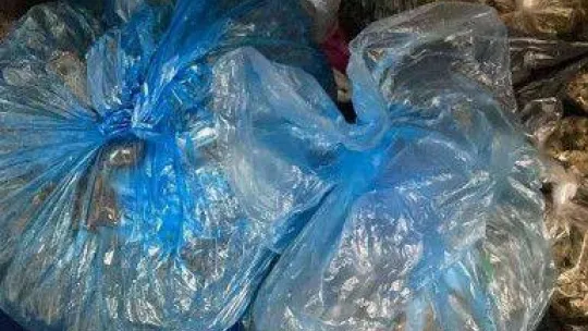 Koltuk ve çekyatın altından 1,5 kilo uyuşturucu çıktı