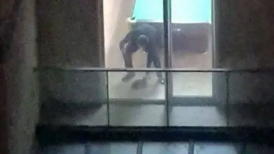 Köpeğe şiddet uygulayan şahıs, hayvanseverlerin elinden zor kurtuldu