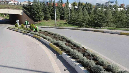 Körfez'de atıklar yeşile dönüşüyor