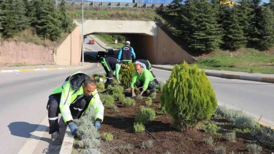 Körfez'de atıklar yeşile dönüşüyor