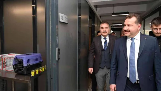 Körfez'e Sokak Hayvanları Tedavi Merkezi açıldı