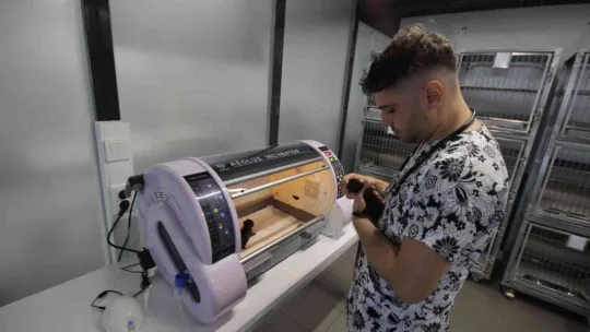 Körfez'e Sokak Hayvanları Tedavi Merkezi açıldı