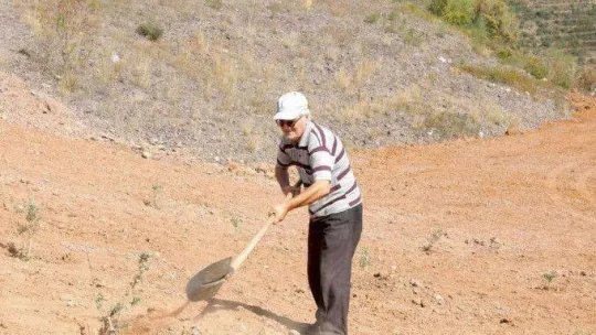 Körfez'in çınarları gelecek için fidan dikti