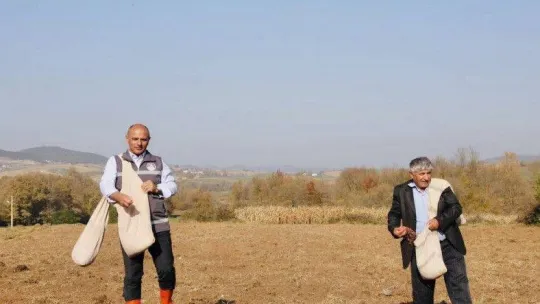 Körfezli çiftçilere 37 ton tohum dağıtıldı