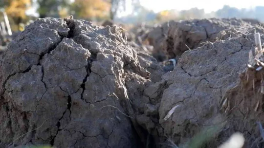 Korkutan rapor korkutan görüntü: Kuraklık toprağı taş gibi yaptı, çiftçi ekim yapamıyor