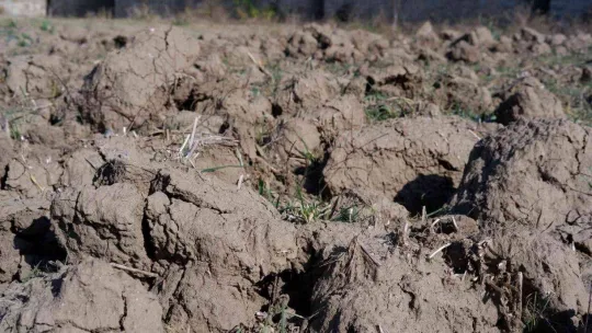 Korkutan rapor korkutan görüntü: Kuraklık toprağı taş gibi yaptı, çiftçi ekim yapamıyor
