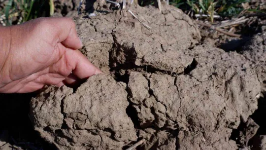 Korkutan rapor korkutan görüntü: Kuraklık toprağı taş gibi yaptı, çiftçi ekim yapamıyor