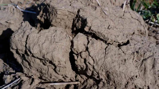 Korkutan rapor korkutan görüntü: Kuraklık toprağı taş gibi yaptı, çiftçi ekim yapamıyor