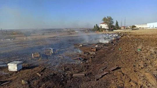 Körüğünü düşüren arıcı çıkan yangında yaralandı