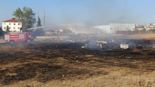 Körüğünü düşüren arıcı çıkan yangında yaralandı