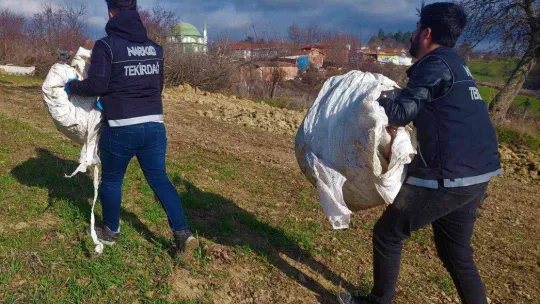 Köyden adeta esrar fışkırdı: Her yere esrar gizlenmiş