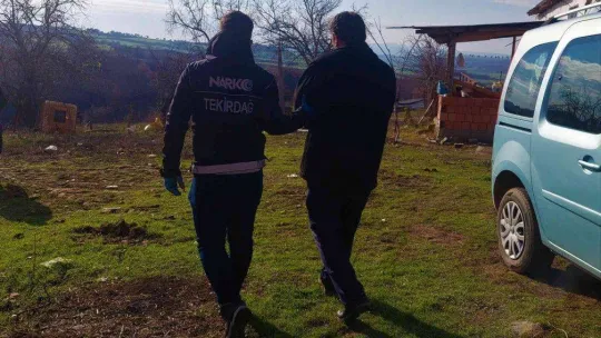 Köyden adeta esrar fışkırdı: Her yere esrar gizlenmiş