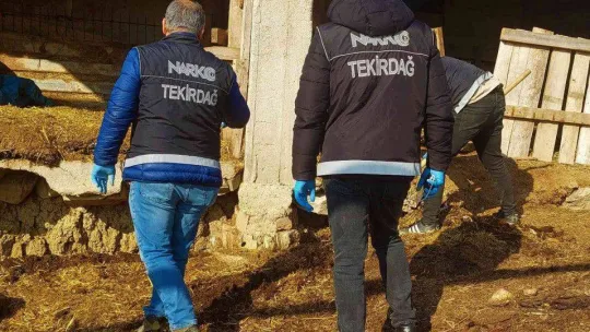 Köyden adeta esrar fışkırdı: Her yere esrar gizlenmiş