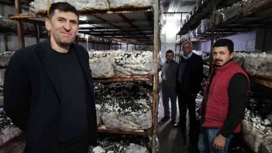 Köye üretim üssü kurdu, şehrin mantar ihtiyacını karşılıyor