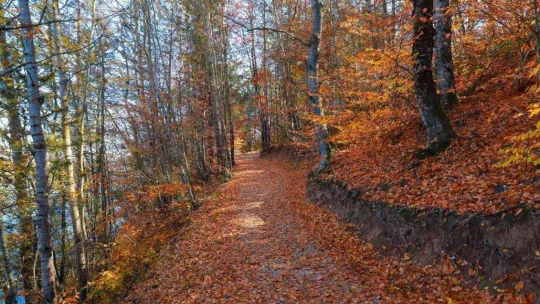 Küçükelmalı Tabiat Parkı'nda kartpostallık görüntüler oluştu