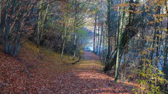 Küçükelmalı Tabiat Parkı'nda kartpostallık görüntüler oluştu