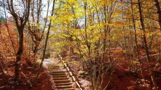 Küçükelmalı Tabiat Parkı'nda kartpostallık görüntüler oluştu