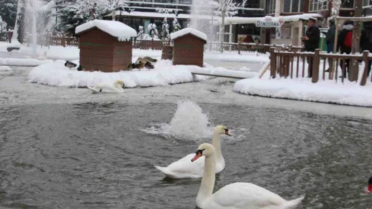 Kuğulu Park'ta kar coşkusu