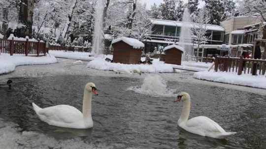 Kuğulu Park'ta kar coşkusu