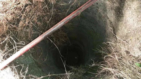 Kuyuya düşen koyunu AFAD ekibi kurtardı