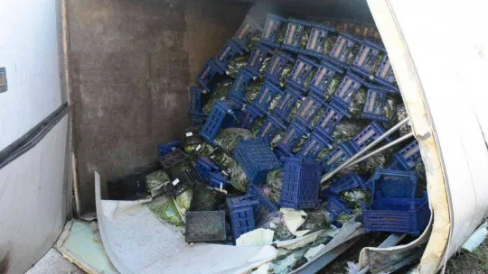 Kuzey Marmara'da sebze ve meyve yüklü tır devrildi