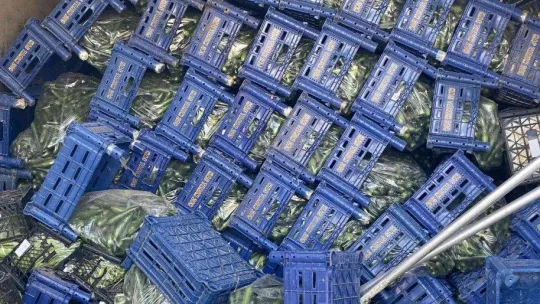 Kuzey Marmara'da sebze ve meyve yüklü tır devrildi