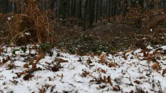 Lapseki'de kar yağışı