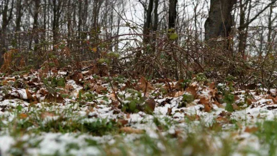 Lapseki'de kar yağışı