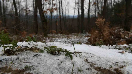 Lapseki'de kar yağışı