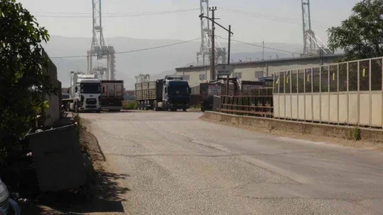 Limanda asit alarmı