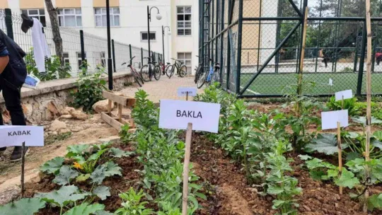 Lise öğrencileri 'Yerel Tohum Projesi'ni hayata geçirdi