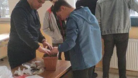 Lise öğrencileri 'Yerel Tohum Projesi'ni hayata geçirdi