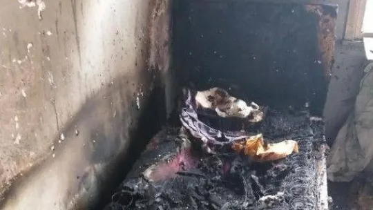 Liseli Büşra'yı işkence ederek öldüren zanlı cezaevinde intihara yeltenmiş