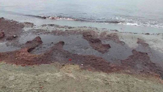 Lodos sahili kırmızıya boyadı