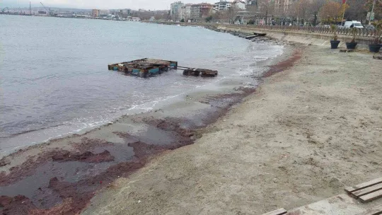 Lodos sahili kırmızıya boyadı