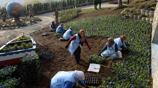 Macera Bursa kış çiçekleriyle yenileniyor
