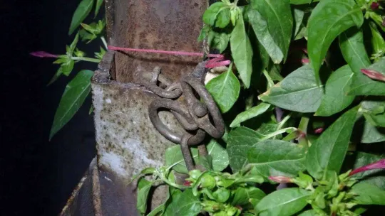 Mahalleli yakaladığı hırsızı önce dövdü sonra elektrik direğine zincirleyerek not bıraktı