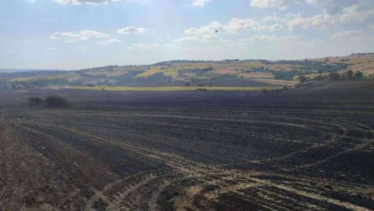 Malkara'da 380 dönüm buğday tarlası kül oldu