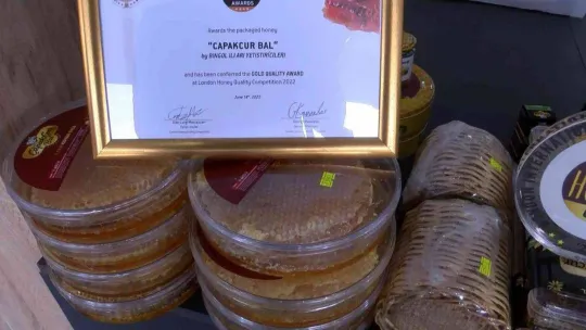 Maltepe'de Bingöl rüzgarı esti