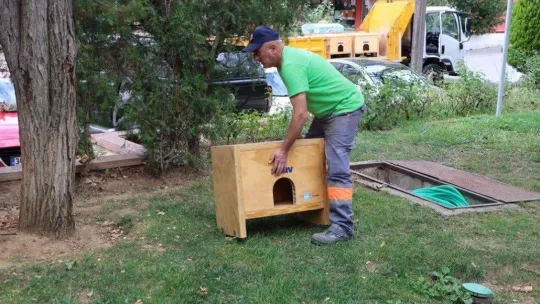 Maltepe'de kediler sıcak yuvalarına kavuştu