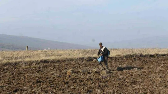 Manyas'ta hububat toprakla buluştu