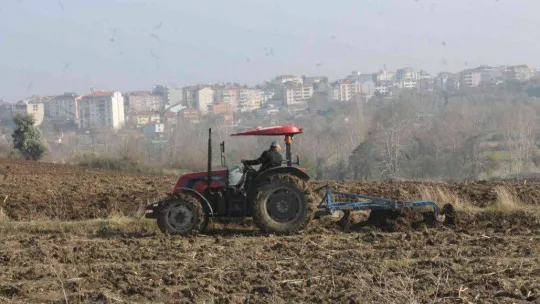Manyas'ta hububat toprakla buluştu