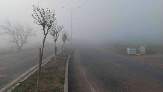 Marmara'da sis etkili oldu