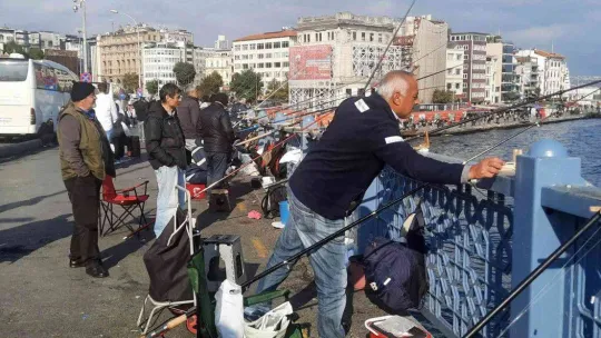 Marmara Denizi için tehlike çanları çalıyor: 'İstilacı türler kapıda'