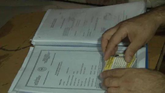 Marmara Denizi ve Büyükçekmece'deki balık halinde denetim