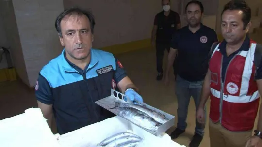 Marmara Denizi ve Büyükçekmece'deki balık halinde denetim