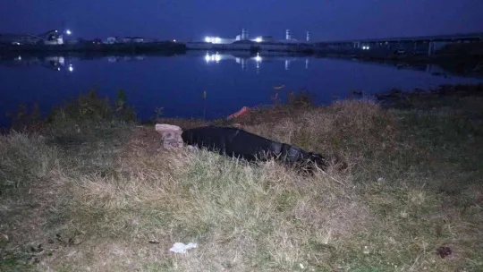 Meriç Nehri'nde erkek cesedi bulundu