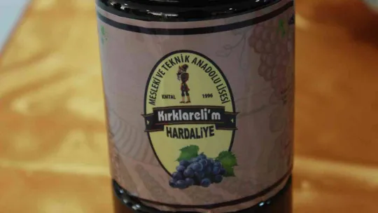 Meslek lisesi öğrencileri hardaliye üretti