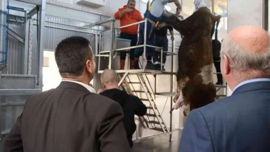 Mezbaha ve Hayvan Borsası Projesi'nde ilk kesim