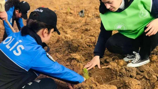 Milli Ağaçlandırma Günü'nde öğrenciler fidanları toprakla buluşturdu